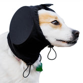 Safe Dogs Ears noise-cancelling blue small earmuffs reduce loud bursts while preserving sound awareness.