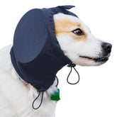 Safe Dogs Ears ear muffs on blue small dog provide comfortable protection during fireworks.
