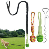 SailStart dog bungee tug toy stake lawn setup encouraging active play
