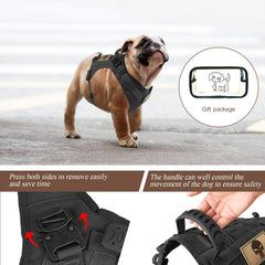 Salfse rubber handle provides secure, gentle control during training or hikes.