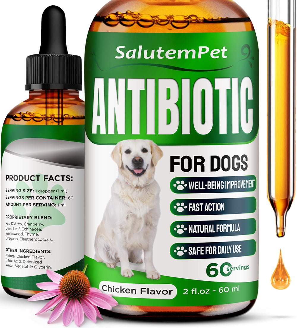 SalutemPet dog antibiotics chicken-flavor bottle shows easy dosing and palatable taste.