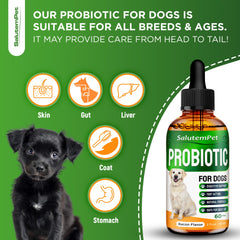 SalutemPet probiotics for dogs bottle label highlights all-natural ingredients.