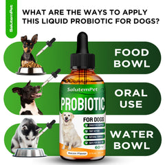 SalutemPet probiotics for dogs puppy meal scene with bacon flavor appeal.