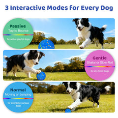 Sankell interactive dog ball three play modes enhances variety in daily fetch routines