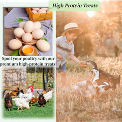 SANSECT protein-rich BSF treats for chickens, ducks, turkeys, and birds.