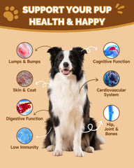 SANTKOL Mushrooms for Dogs immune-support-chews promote daily vitality and skin wellness.