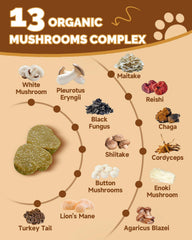SANTKOL Mushrooms for Dogs skin-coat-glow chews support a healthy coat.