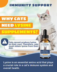 SANTKOL lysine drops poured into cat food bowl for convenience
