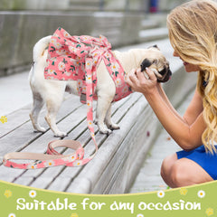 Sanwuta pink bowknot harness set suited for festive outings