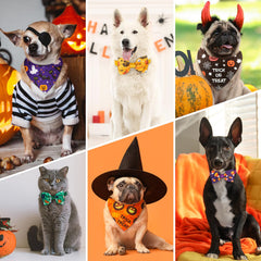 Sanwuta pumpkin-pattern bandana in soft polyester for comfortable wear