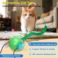 Saolife cat toy rolling on carpet provides exercise and fun