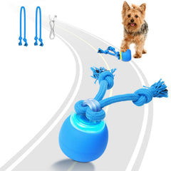 Saolife interactive dog ball on floor showing chase-ready motion for curious puppies