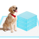 SAP FRIENDLY 22x23 pee pads pack for dogs with reliable floor protection.