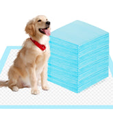 SAP FRIENDLY 6-layer protection pad demonstrates leak-proof design for floors