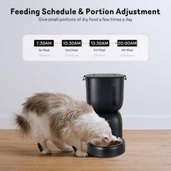 Sarpaws FW1 water dispenser providing fresh daily hydration for your cat