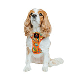 Sassy Woof Garfield Harness front D-ring for no-pull training and secure control.