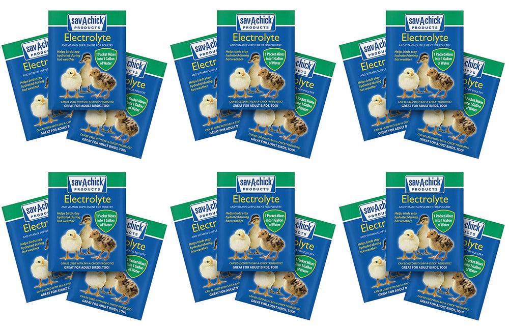 Sav-A-Caf poultry electrolyte and vitamin packet for hydrating birds
