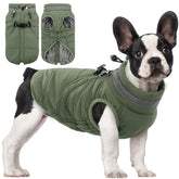 SAWMONG dog coat back-zip design offers easy dressing and reliable warmth.