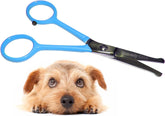 Tijera Scaredy Cut de seguridad azul con punta de bola para grooming seguro