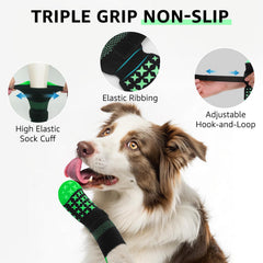 SCENEREAL paw protectors wrap soft fabric to shield paws during brief outdoor walks.