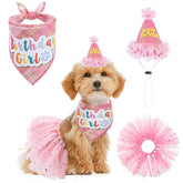 SCENEREAL dog birthday bandana for festive party photos