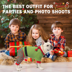 SCENEREAL dog Christmas elf-front view; festive photo-ready outfit.