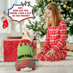 SCENEREAL elf-belt-detail on dog pajamas for cute holiday flair.