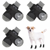 SCENEREAL dog socks-pack-6 shows secure fit for protected paws during daily walks