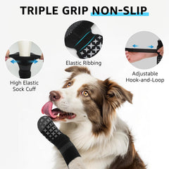 SCENEREAL paw protection socks with soft material cushions paws during walks.