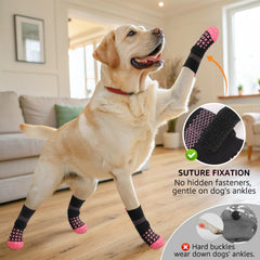 SCENEREAL secure-fit sock designed for senior dogs with gentle closure
