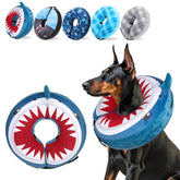 SCENEREAL donut dog collar on a dog offering comfortable recovery and clear visibility.