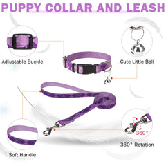 SCENEREAL 5-foot leash with swivel hook in use.