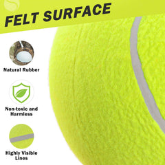 SCENEREAL close-up of rubber and felt shows gentle-to-teeth, durable design