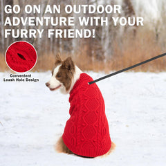 SCENEREAL knitted dog sweater red dog walking demonstrates practical winter wear