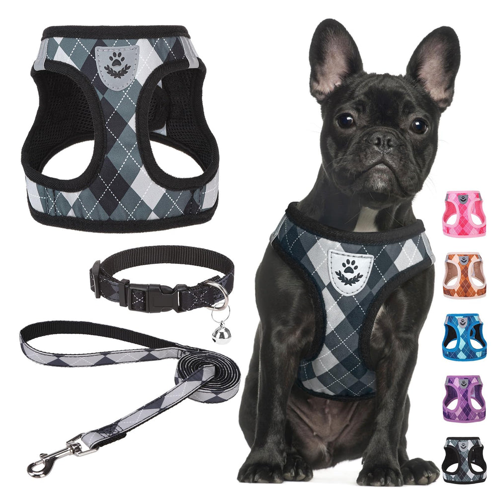 SCENEREAL harness buckle close-up showing quick-release design for easy step-in fit.