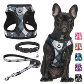 SCENEREAL harness buckle close-up showing quick-release design for easy step-in fit.