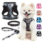 SCENEREAL small dog harness package with leash and collar for easy daily walks.