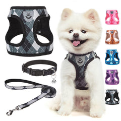 SCENEREAL small dog harness package with leash and collar for easy daily walks.