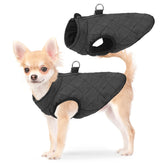 SCENEREAL winter dog vest back zipper detail for secure on/off and warmth