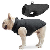 SCENEREAL winter dog vest coat built-in harness for secure walks