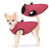 SCENEREAL winter dog vest back zipper close-up for snag-free dressing