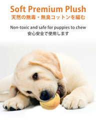 SCHITEC squeaky ball pack shows six-color set perfect for gift-ready puppy toys.