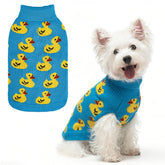 SCIROKKO dog sweater with blue knit and yellow ducks keeps small dogs warm during outdoor outings.