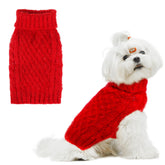 SCIROKKO turtleneck dog sweater red small front view for warmth and style