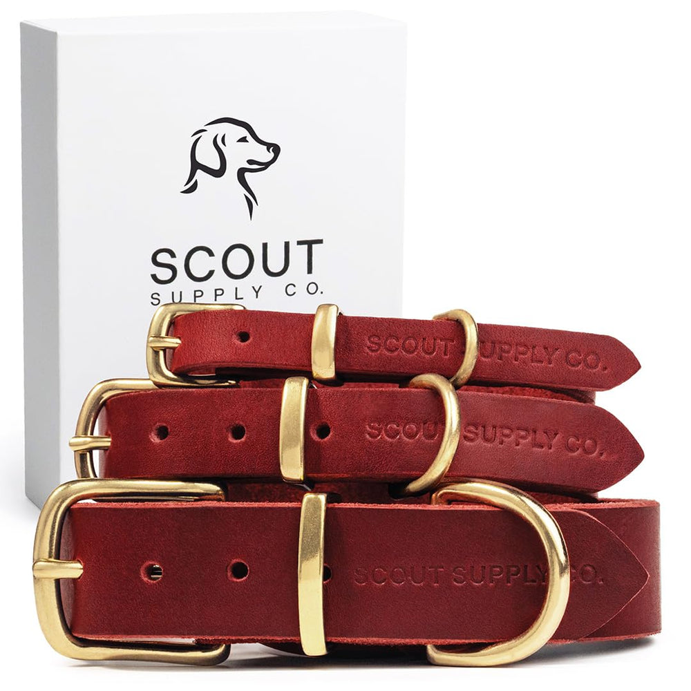 Scout Supply Co Classic Leather Dog Collar red XL front view 1.2-inch width