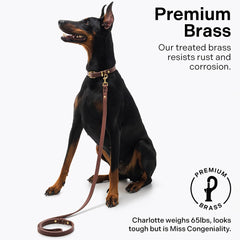 Scout Supply Co. Classic Leather Dog Leash braided accents add tactile style during casual strolls