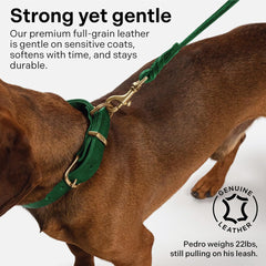 Scout Supply Co. Classic Leather Leash patina develops uniquely with use.