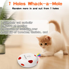 Scsuupoee interactive cat toy featuring a unique rounded box design for stability.