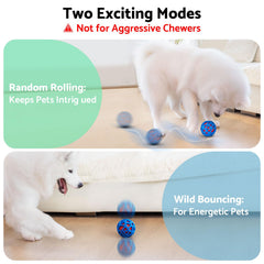 Seagi USB-rechargeable dog toy delivers long play sessions.