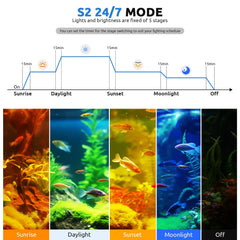 SEAOURA LED light LCD display demonstrates programmable timer and modes